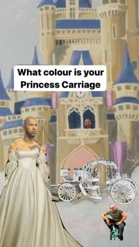 What Colour Is Your Princess Carriage
