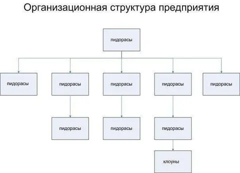 Организационная структура предприятия
