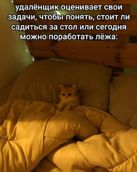 Удалёнщик выбирает работать лёжа