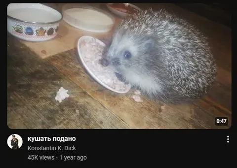 Ёжик за ужином
