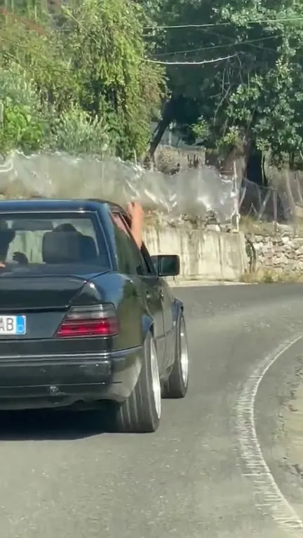 Овчарка в багажнике Mercedes