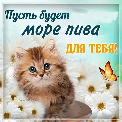 Пусть будет море пива