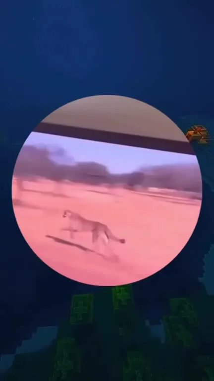 Майнкрафт смотрит странные видео