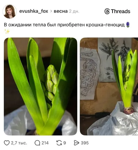 Крошка-геноцид в ожидании тепла