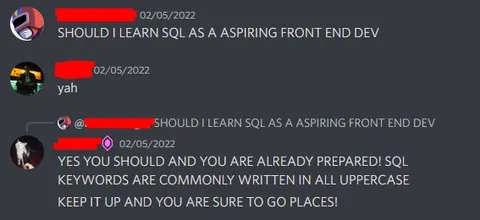 Should I Learn SQL?