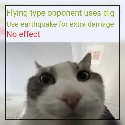 Flying Type Uses Dig