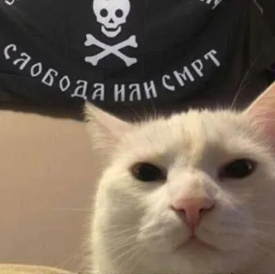 Кот-пират садовода