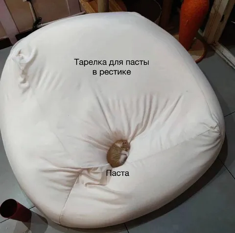 Тарелка для пасты в рестике
