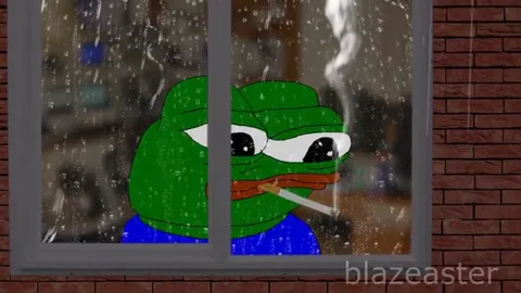 Pepe Drives Through the Rain