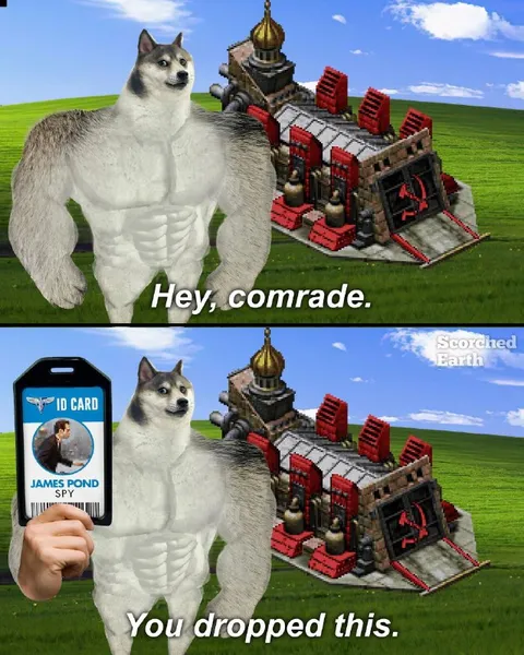 Muscle Doge Finds Your ID Card