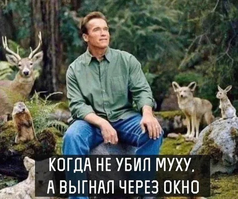 Не убил муху, а выгнал