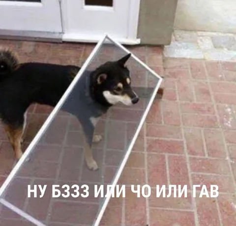 Ну бззз или чо или гав