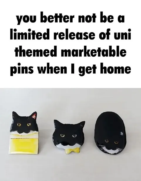 Limited Edition Cat Pins