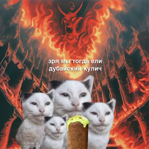 Коты после дубайского кулича