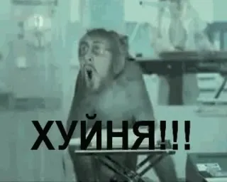 Обезьяна орёт за вертушками