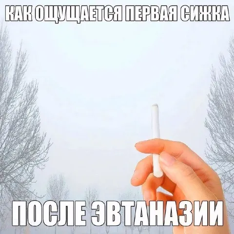 Первая снежка после втаназии