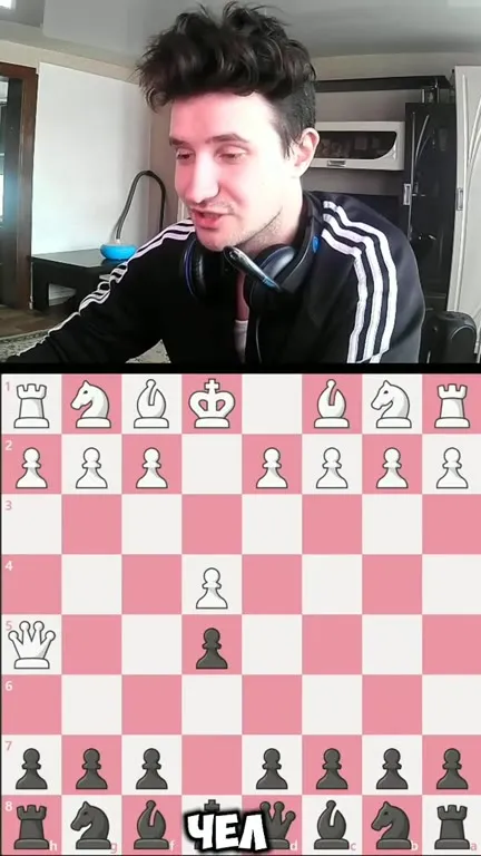 Шахматный мат под музыку