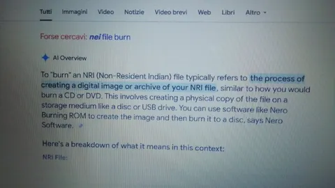AI Misunderstands NRI File