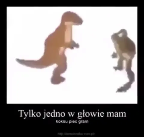 Tylko jedno w głowie mam