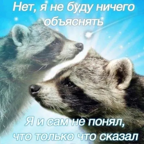 Еноты ничего не поняли