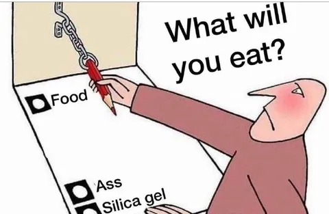 What Will You Eat?