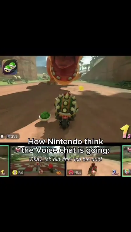 How Nintendo Thinks Voice Chat Works