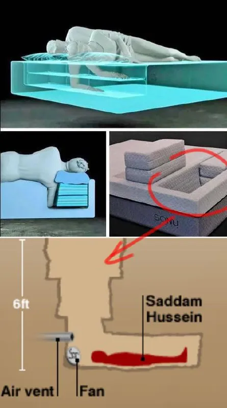 Saddam Hussein Sofa Hiding Spot