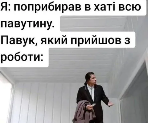 Павук після роботи