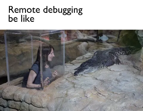 Remote Debugging Be Like