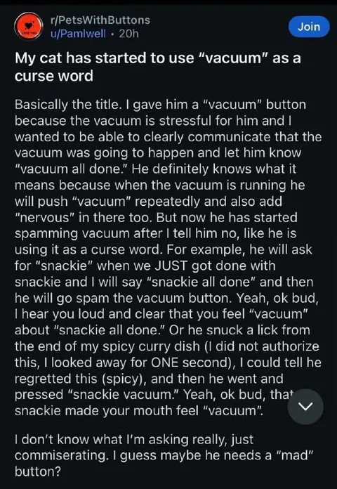 Cat Uses Vacuum as Curse Word