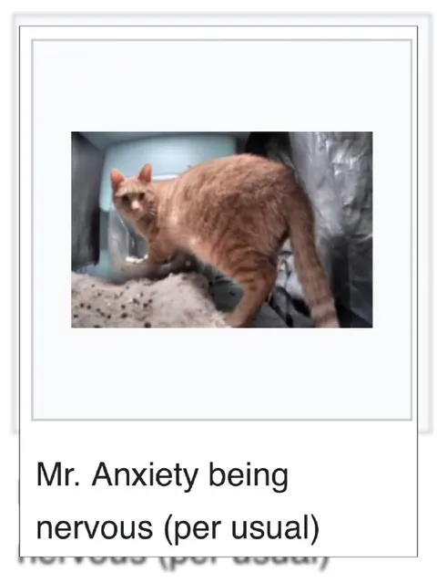 Mr. Anxiety Being Nervous