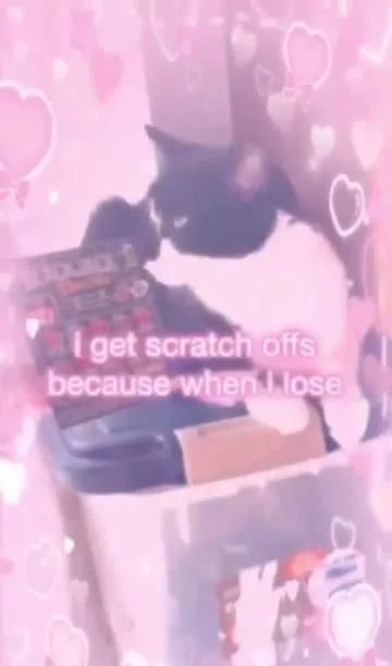 Gambling Cat Retirement Plan