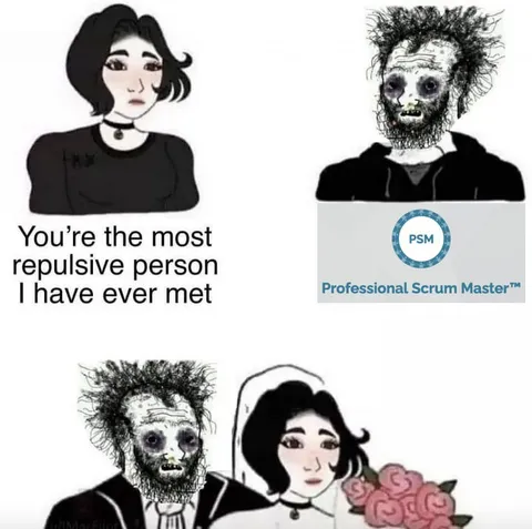 Repulsive Professional Scrum Master