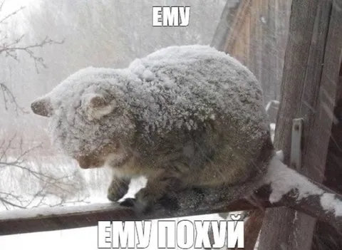 Ему похуй на снег