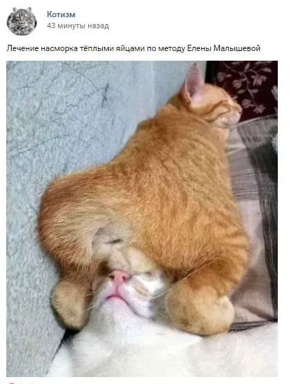 Лечение насморка тёплыми яйцами