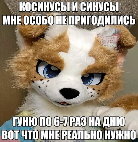 Фурри и синусы