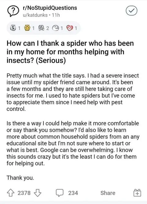 Thanking a Helpful House Spider