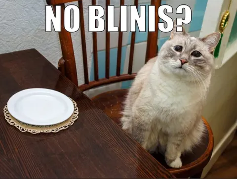 Cat Asking for Blinis