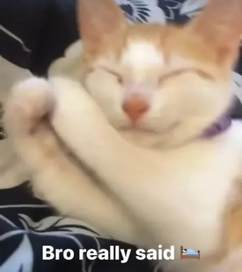 Bro Really Said Bedtime