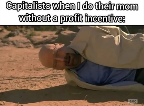 Capitalists Without Profit Incentive