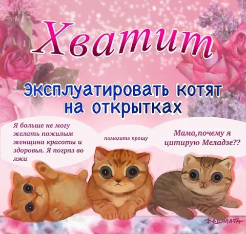 Котята против поздравлений