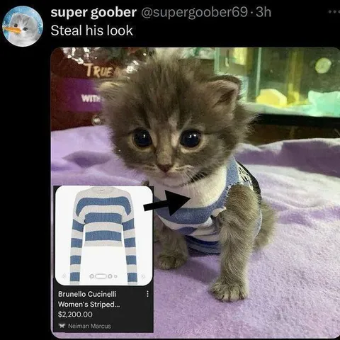Kitten Steal His Look