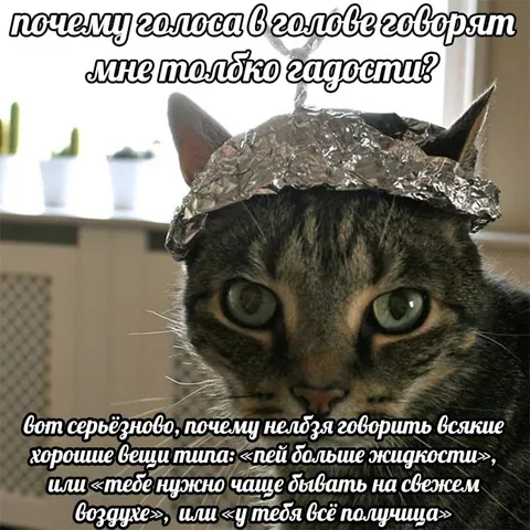 Голоса в голове говорят гадости