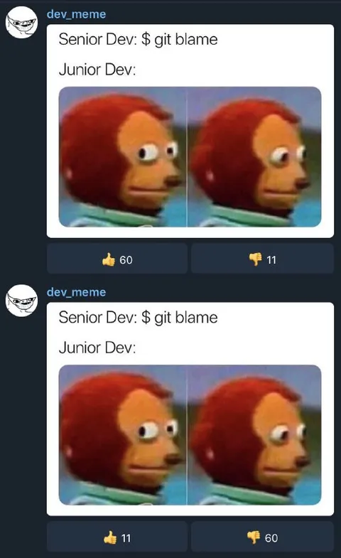 Senior Dev Git Blame