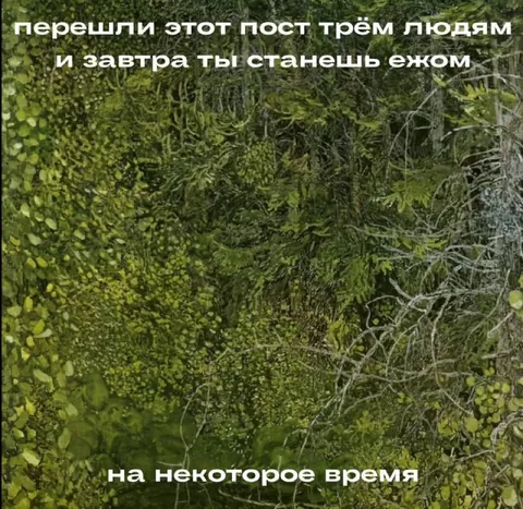 Станешь ежом на некоторое время