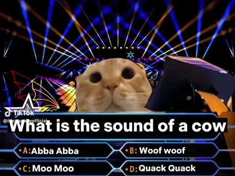 Happy Cat Wins Cow Quiz