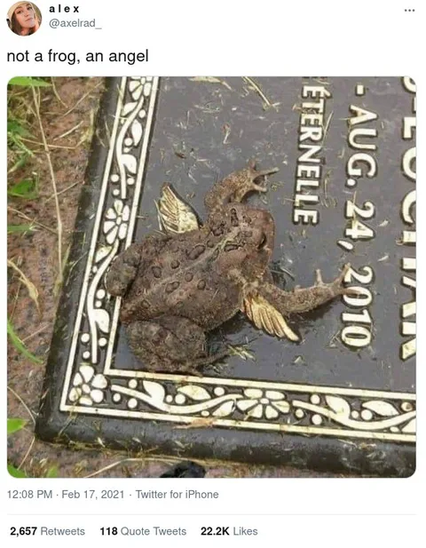 Not a Frog, an Angel