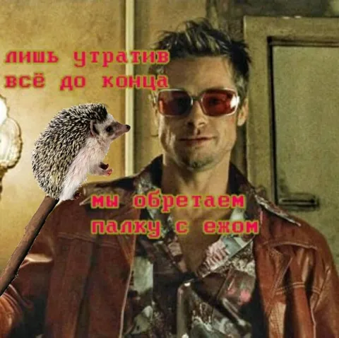 Палка с ежом
