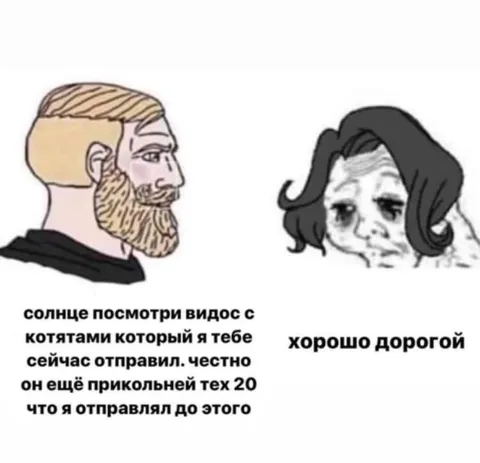 Солнце, посмотри видос с котятами