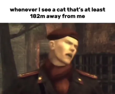 Cat Spotted From 182 Meters